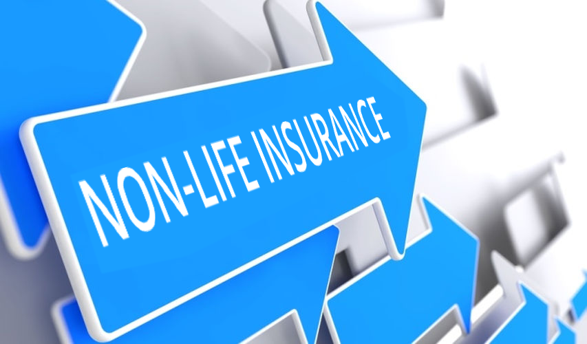 NON-LIFE INSURANCE JUNE 2019